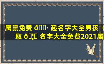 属鼠免费 🕷 起名字大全男孩（取 🦟 名字大全免费2021属鼠的男孩子）